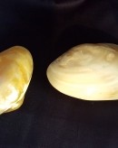 20150626_145602 - copie.jpg