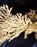 20150626_145727.jpg