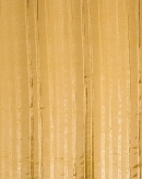 20151124_163813.jpg